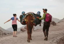 American tourist wearing a US flag shirt hiking with a Moroccan guide and a mule in the Atlas Mountains, illustrating that Morocco is safe for Americans and welcoming to adventurous travelers.