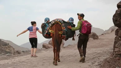 American tourist wearing a US flag shirt hiking with a Moroccan guide and a mule in the Atlas Mountains, illustrating that Morocco is safe for Americans and welcoming to adventurous travelers.