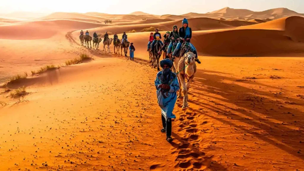 Amazigh guide in blue leading a camel caravan of travelers across the orange Sahara dunes near Merzouga Morocco at sunset