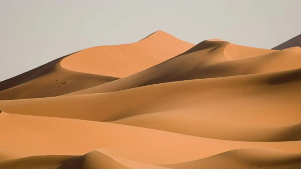 Layered Erg Chebbi sand dunes rising in golden and amber waves near Merzouga Morocco