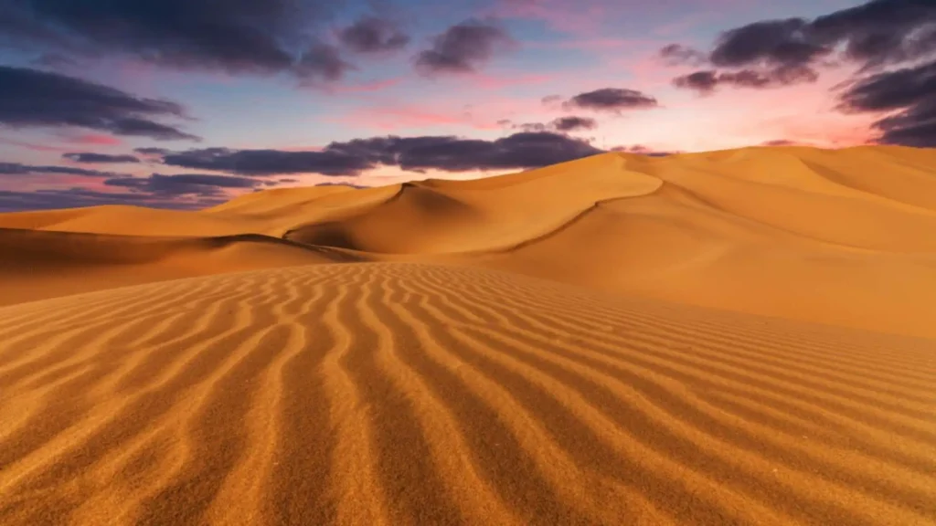 Wind-rippled sand dunes of Erg Chigaga stretching to the horizon under a pink and purple sunset sky in southern Morocco
