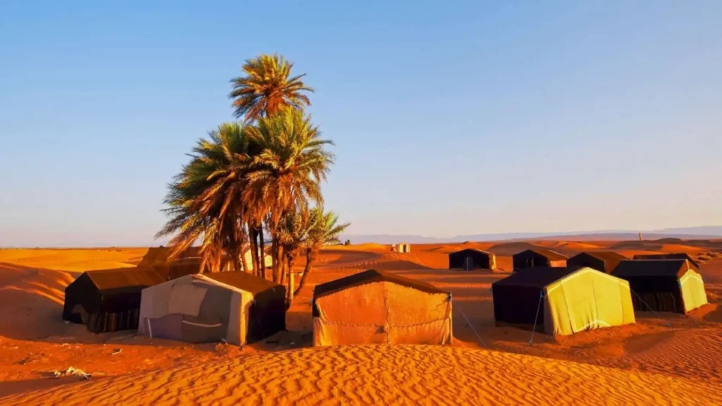 Traditional Berber tents at a standard Sahara desert camp near palm trees on orange sand dunes in Merzouga Morocco