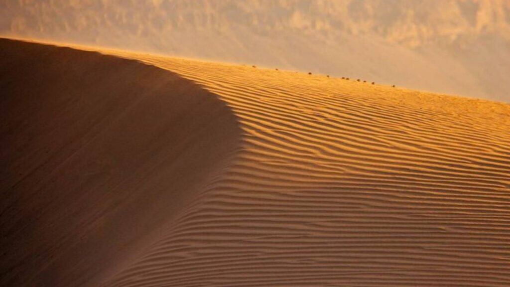 Tinfou sand dune ridge near Zagora with wind-carved ripple patterns glowing golden at sunset in Morocco's Draa Valley