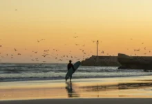 Surfer walking along a Morocco beach at sunset carrying a surfboard with seagulls flying over the Atlantic waves