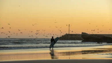 Surfer walking along a Morocco beach at sunset carrying a surfboard with seagulls flying over the Atlantic waves