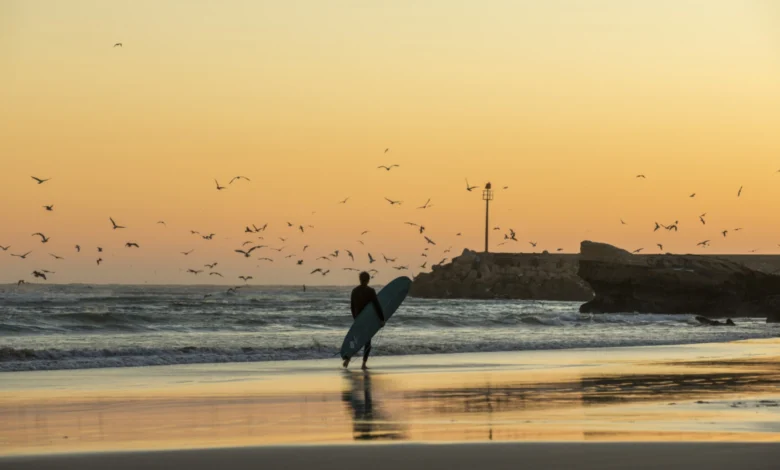 Surfer walking along a Morocco beach at sunset carrying a surfboard with seagulls flying over the Atlantic waves